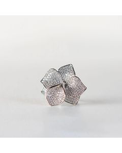 Anelli Luce Fantasy Brill 2
